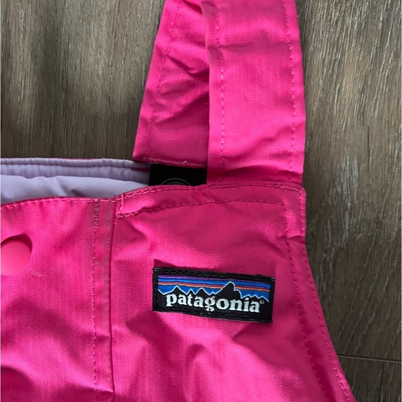 2T Patagonia Snow Pile Bibs/Skipants - Picture 2 of 6